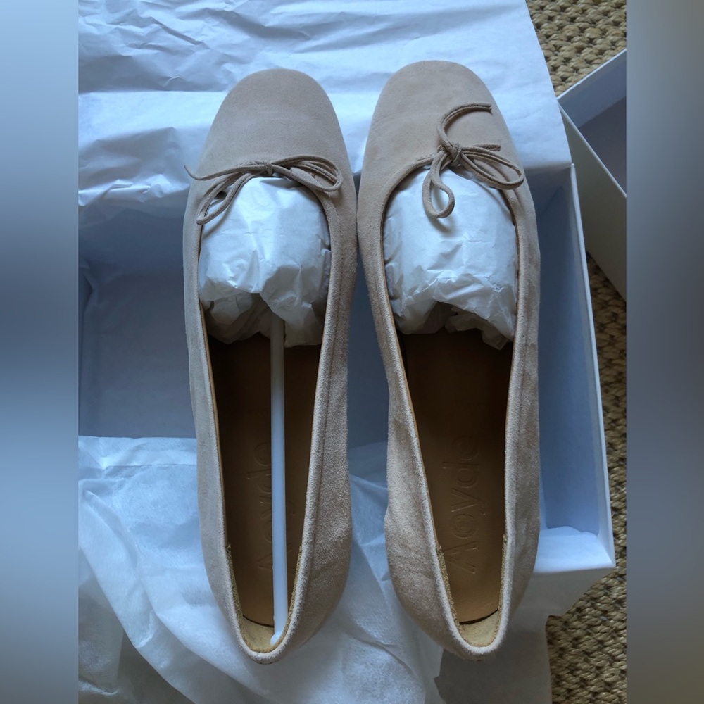 NWT Aeyde Delfina Ballet Flats